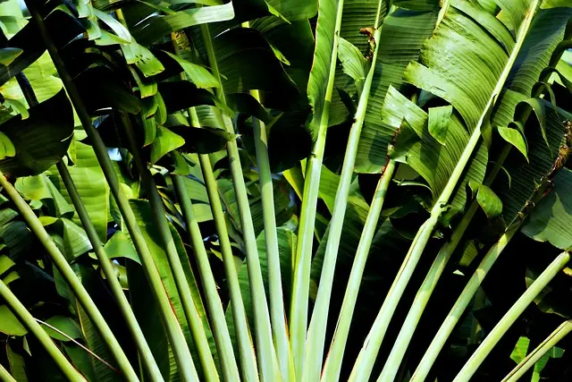 Las 10 Islas Secretas Que Debes Visitar
