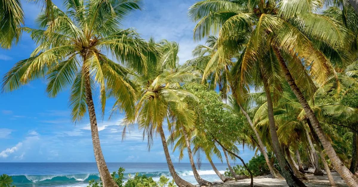 Cómo Elegir el Mejor Destino Único para Tu Siguiente Vacación