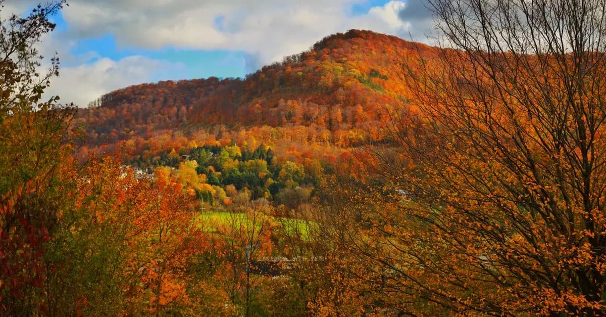 Los Mejores Destinos Únicos para Fotografiar en Otoño
