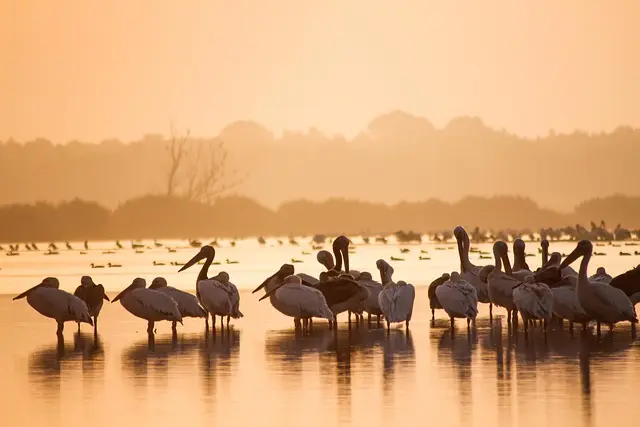 Los Mejores Destinos de Ecoturismo en el Mundo
