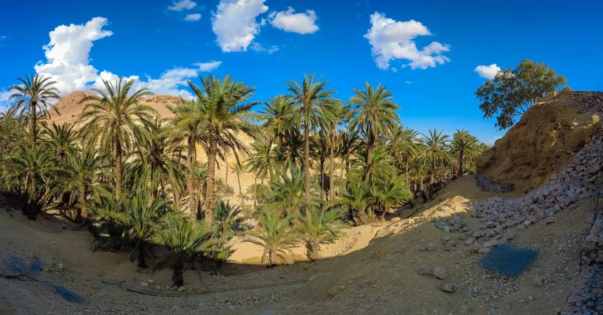 Ruta de los Oasis: Explorando los Desiertos de Marruecos