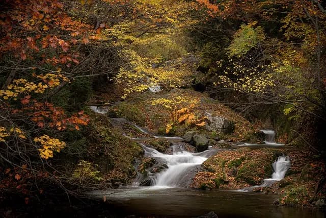 Los Mejores Destinos Únicos para Viajar en Otoño
