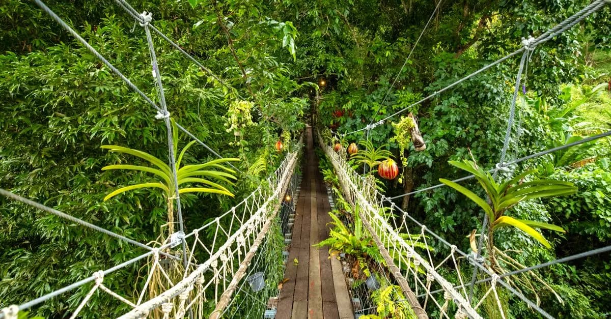 Descubre los Mejores Destinos Únicos para Ecoturismo