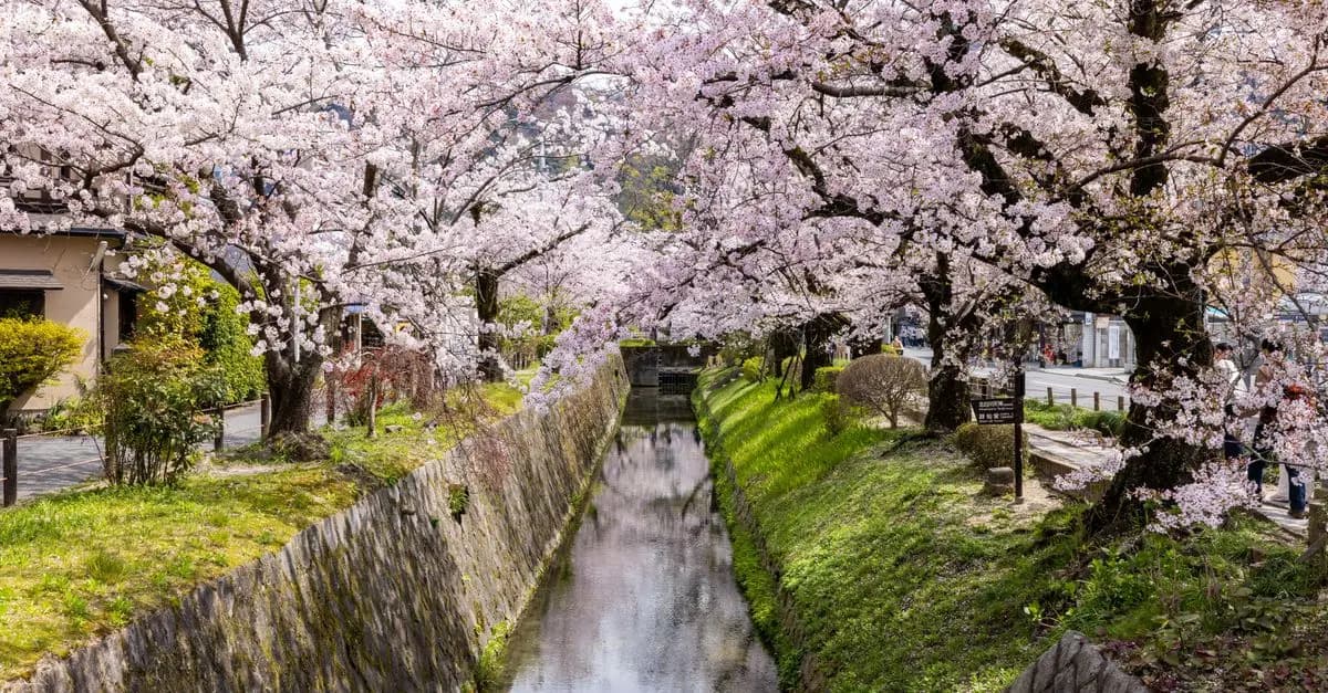 Los 5 Destinos Únicos Que Debes Visitar Durante la Primavera