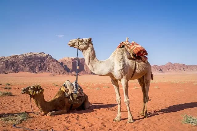 Destinos Únicos que Debes Visitar Durante Todo el Año