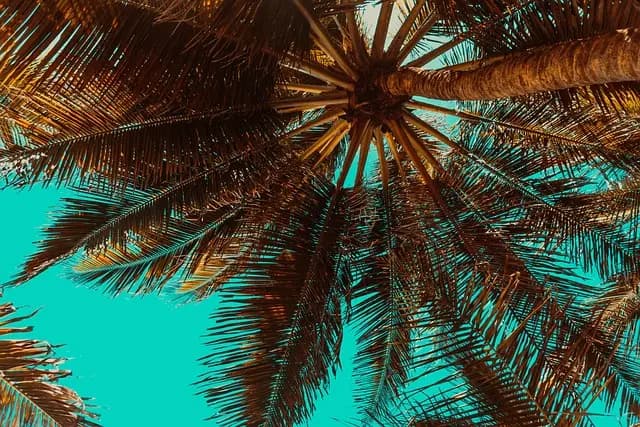 Cómo Elegir el Destino Único Perfecto para Tus Vacaciones