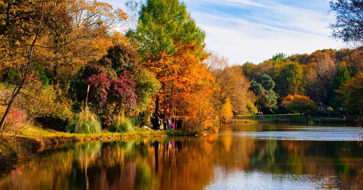 Los Mejores Destinos Únicos que Debes Visitar en Otoño