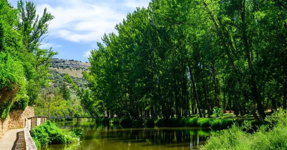 Los Mejores Retiros de Bienestar en Destinos Únicos