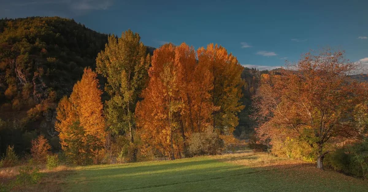 Los Mejores Destinos Únicos para Viajar en Otoño