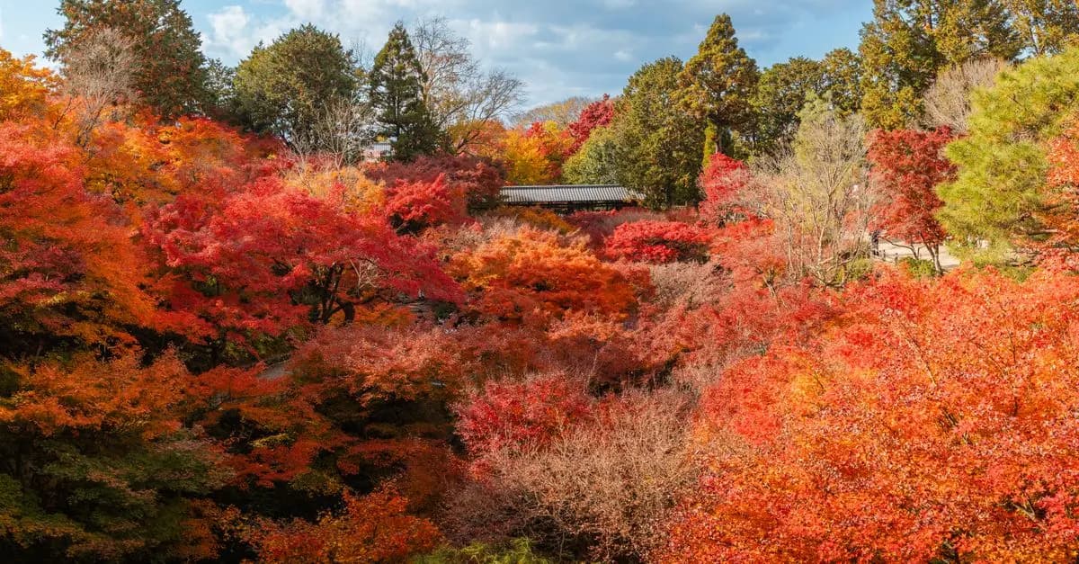 Descubre los Mejores Destinos Únicos para Viajar en Otoño