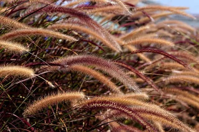 Los Mejores Destinos Ecológicos para Viajar en Otoño