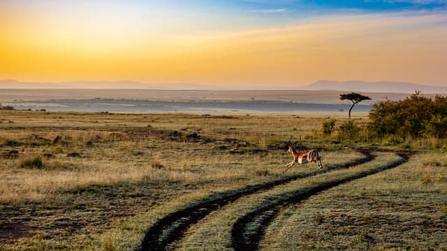 Los Mejores Destinos de Ecoturismo en el Mundo