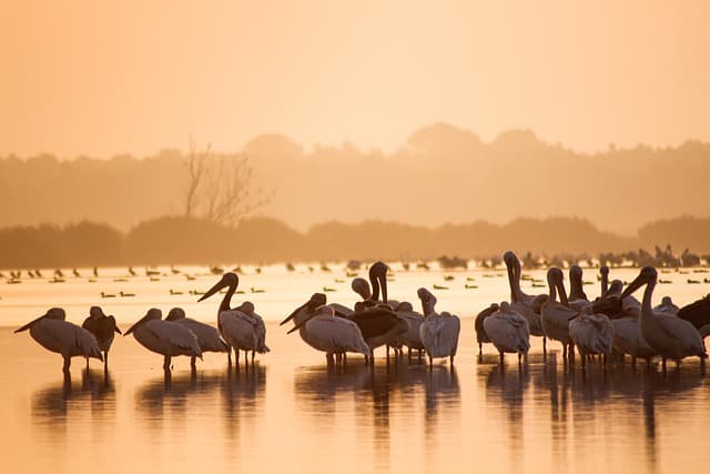 Los Mejores Destinos Únicos para el Ecoturismo