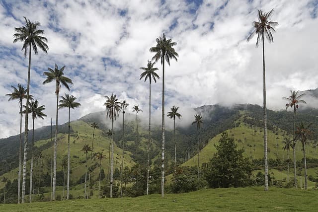 Los Principales Destinos Únicos en América del Sur que Debes Visitar