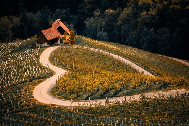 Los Mejores Destinos Únicos para Viajar en Otoño